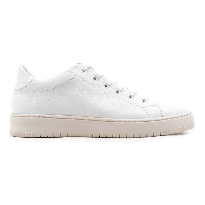 Bennet City low alb sneaker