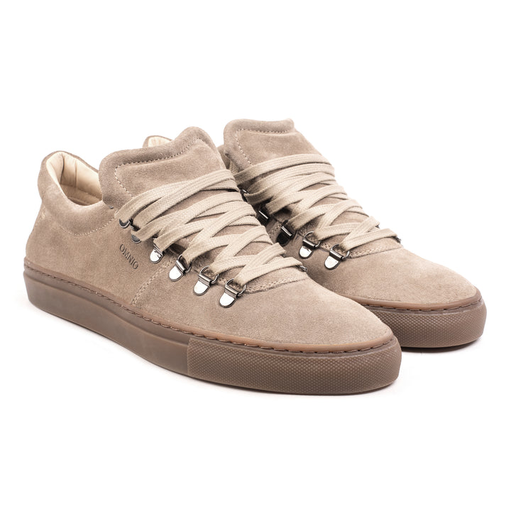 VENETO MONTE taupe Suede sneaker