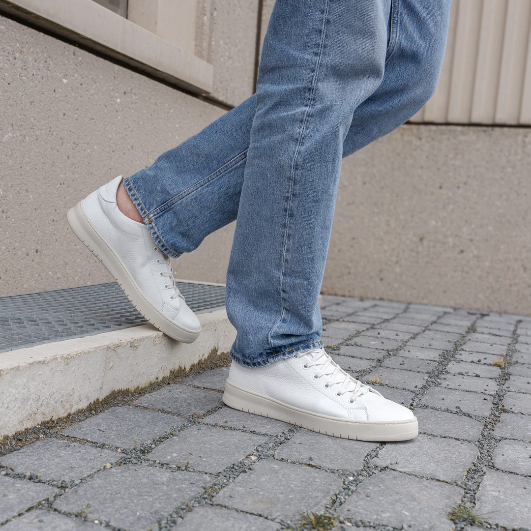 Bennet City low alb sneaker