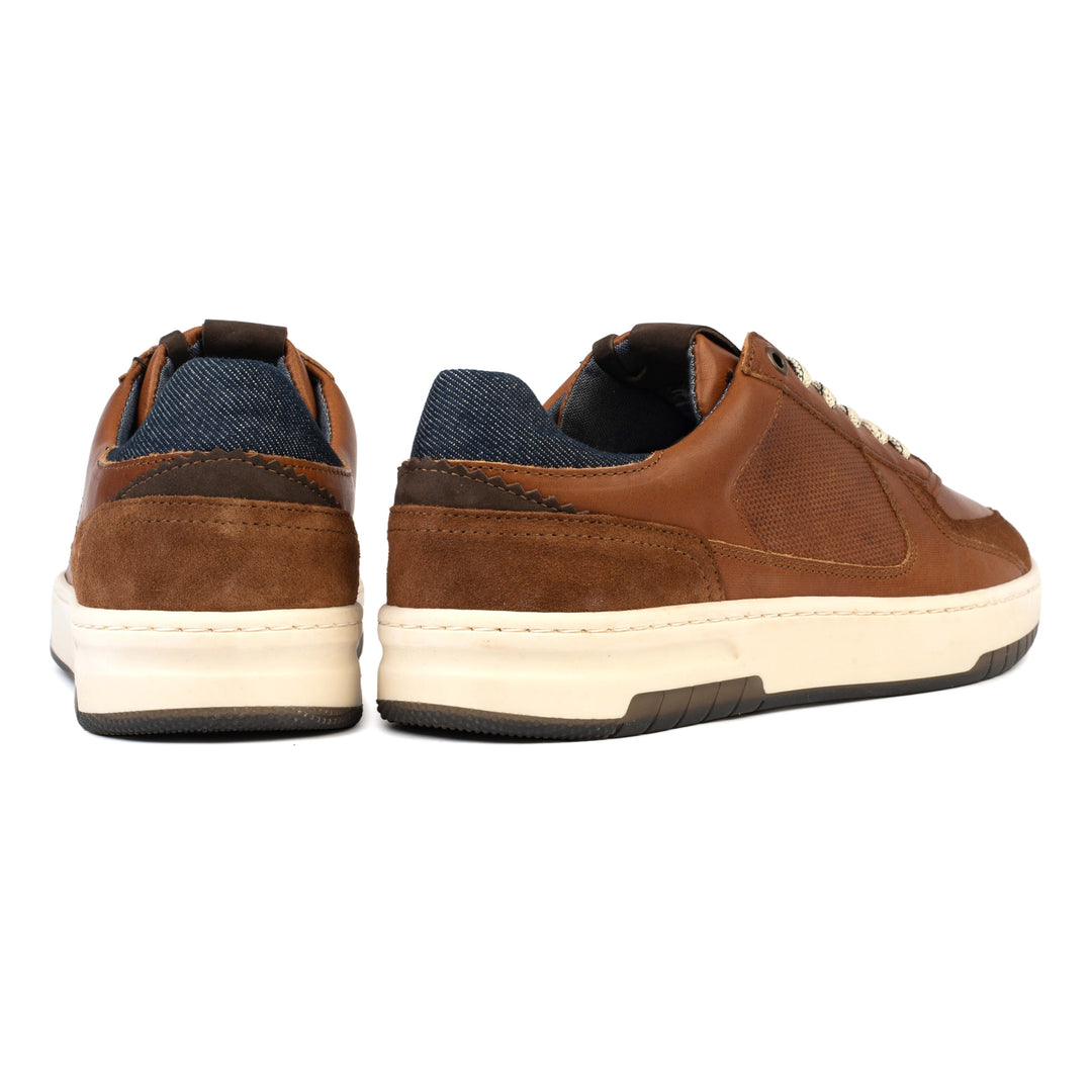 Paris sneaker konyak