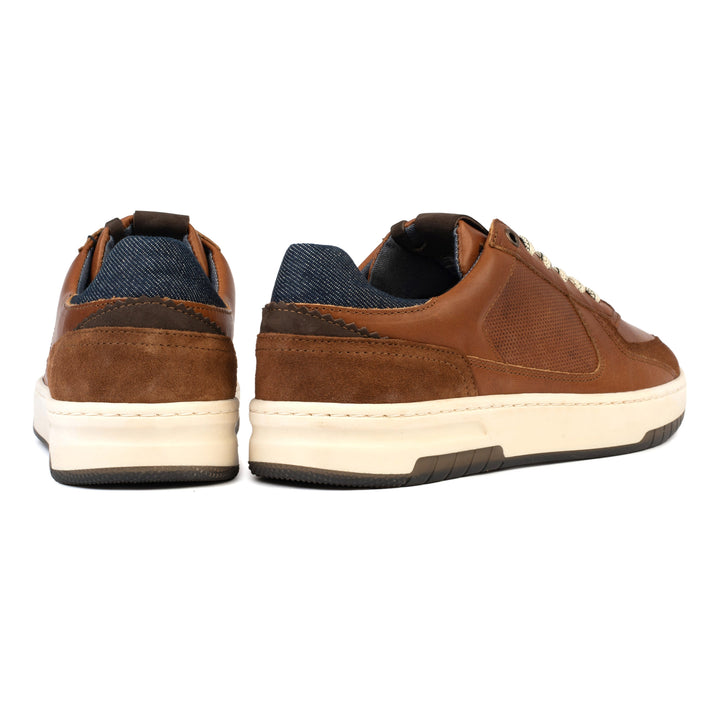 Paris sneaker konyak