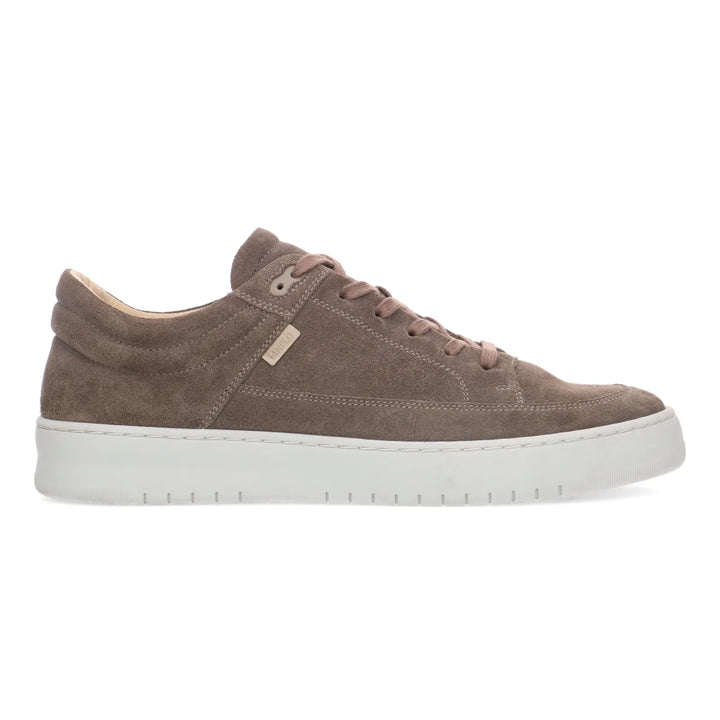 BENNET LOW taupe Suede sneaker