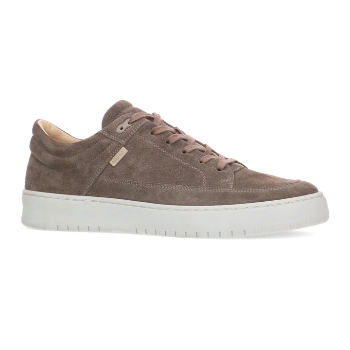 BENNET LOW taupe Suede sneaker